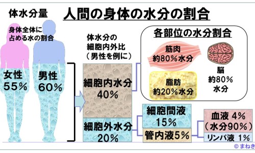 伊思蜗牛系列价格-伊思蜗牛水乳1号和2号的区别网 :分享伊思蜗牛洗面奶好用吗-伊思蜗牛霜坚持用1年皮肤会变好吗知识